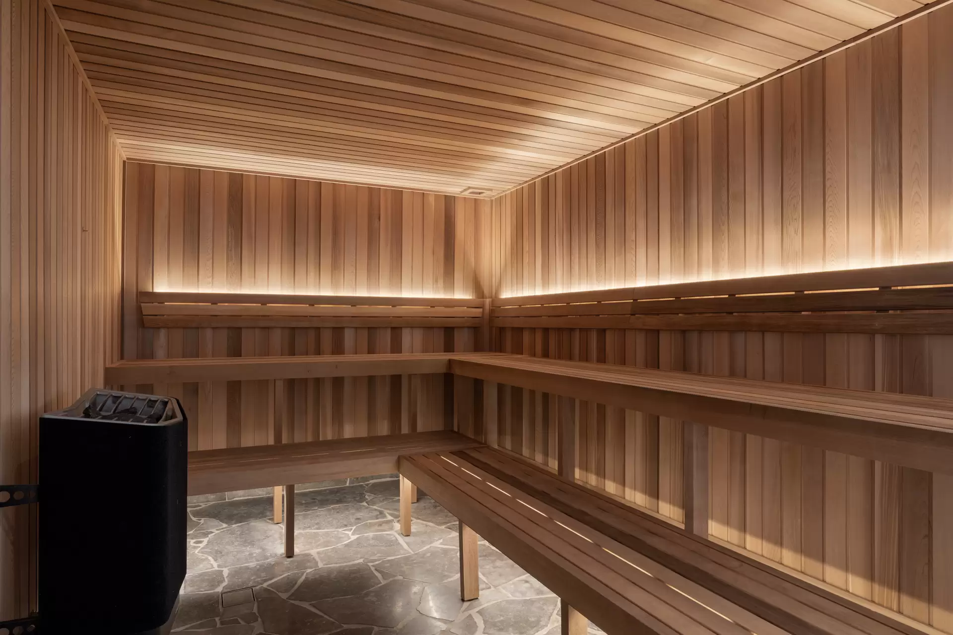 3101/4 Rosewood Avenue, Broadbeach For Lease by Mosaic Property Group - image 1