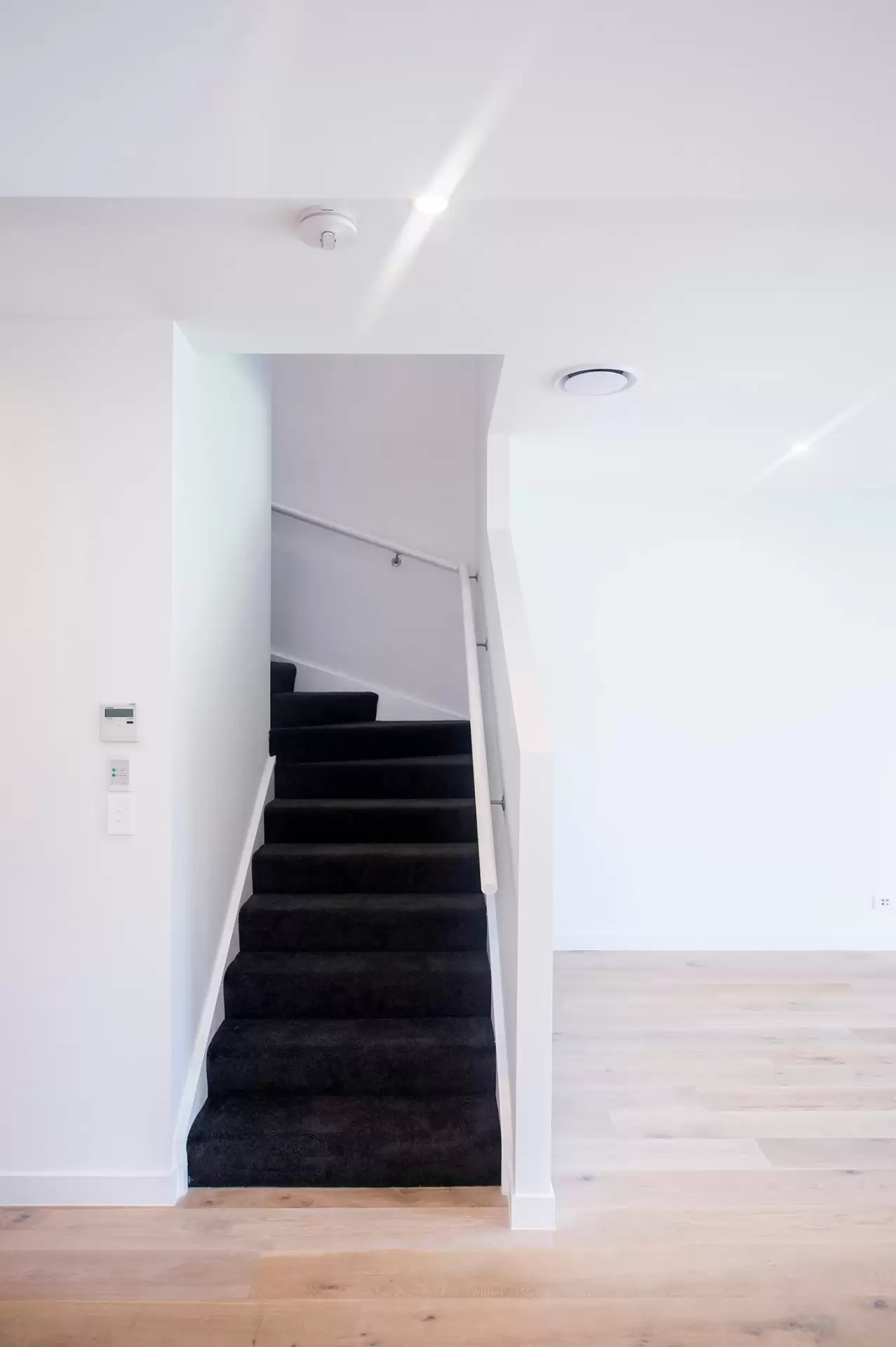 10 Tasmania Avenue, Newport Leased by Mosaic Property Group - image 1