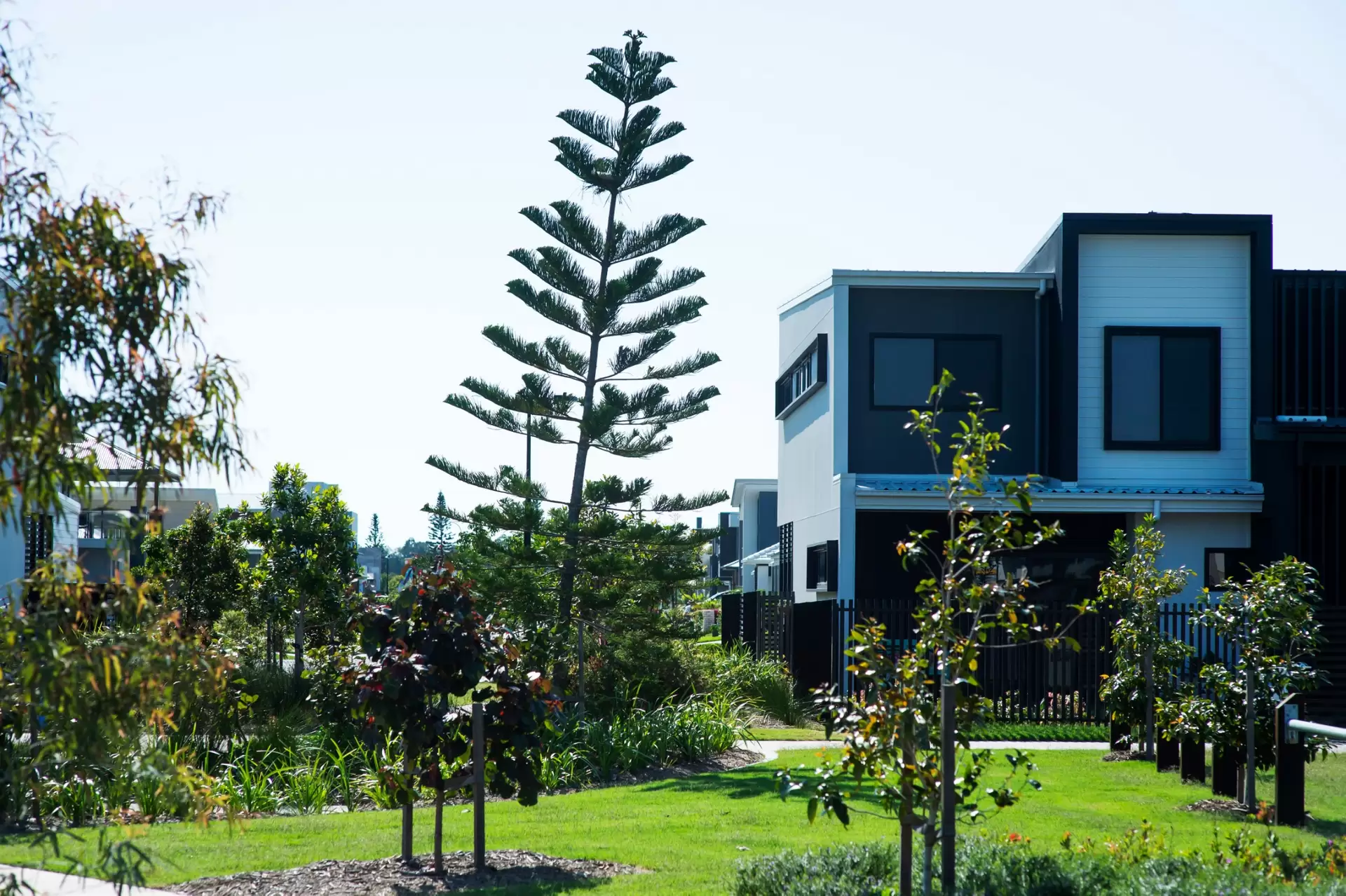 10 Tasmania Avenue, Newport Leased by Mosaic Property Group - image 1
