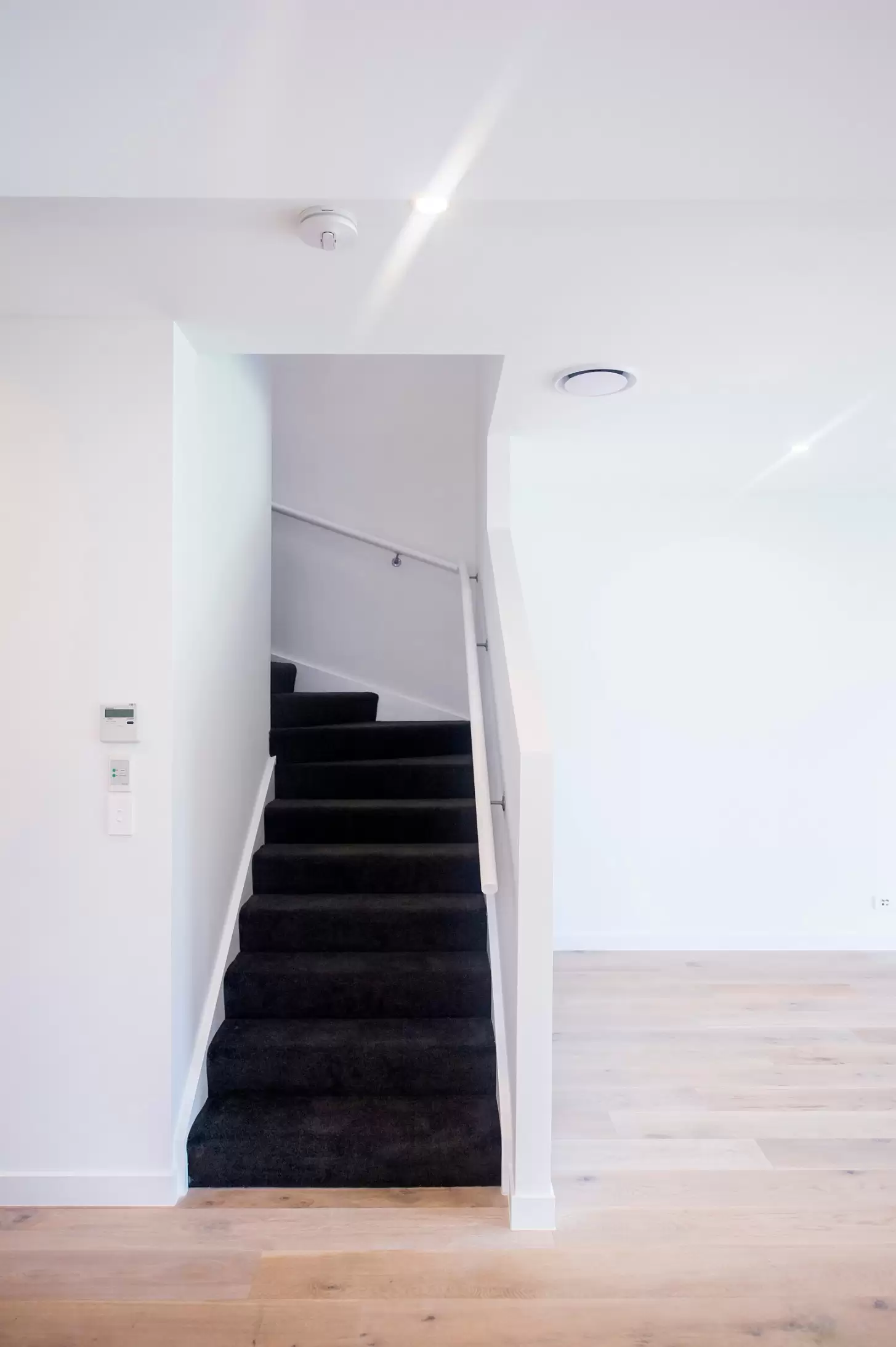 10 Tasmania Avenue, Newport Leased by Mosaic Property Group - image 5