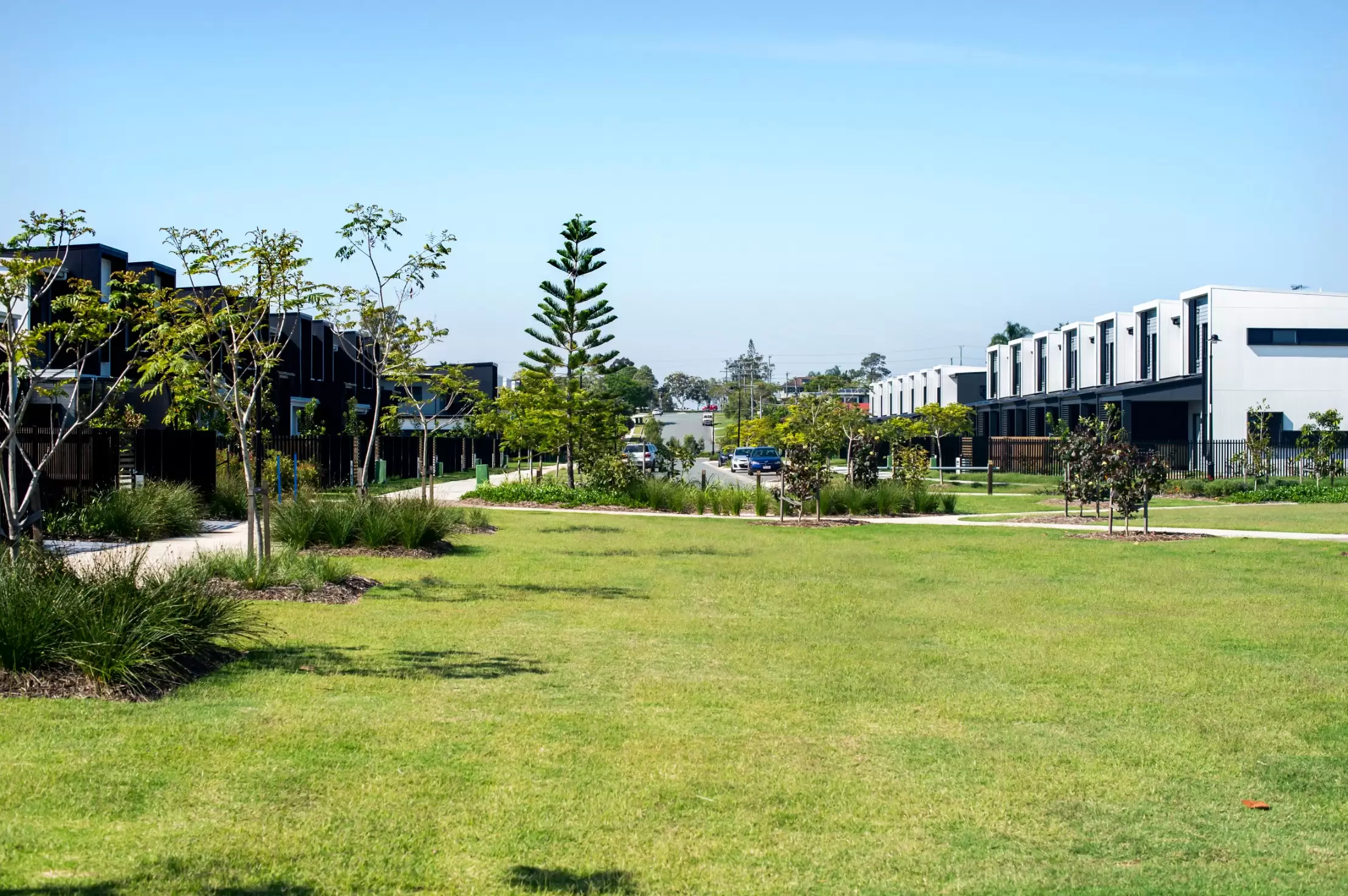 10 Tasmania Avenue, Newport Leased by Mosaic Property Group - image 20