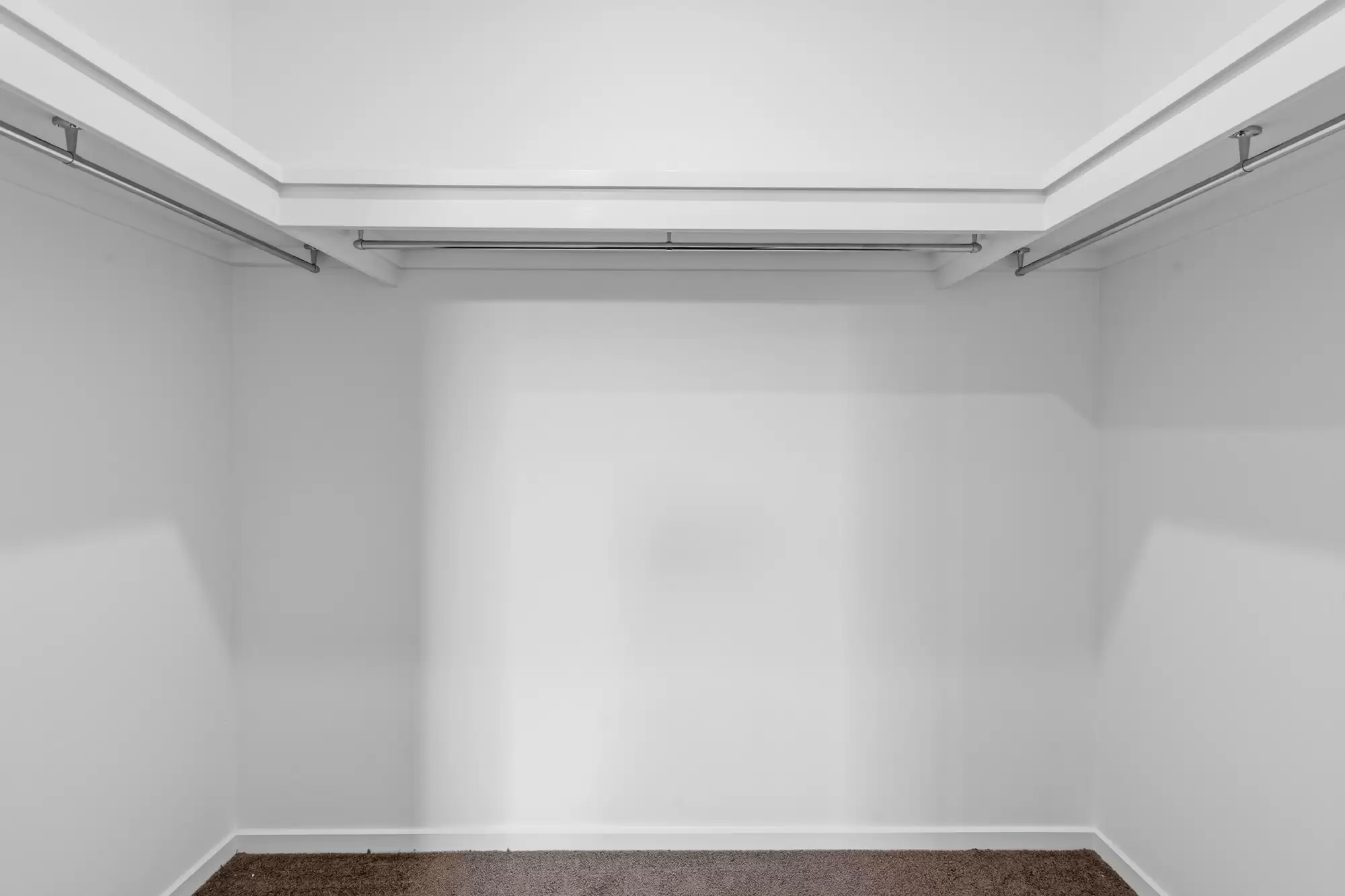 12 Bandicoot Street, Warner Leased by Mosaic Property Group - image 11