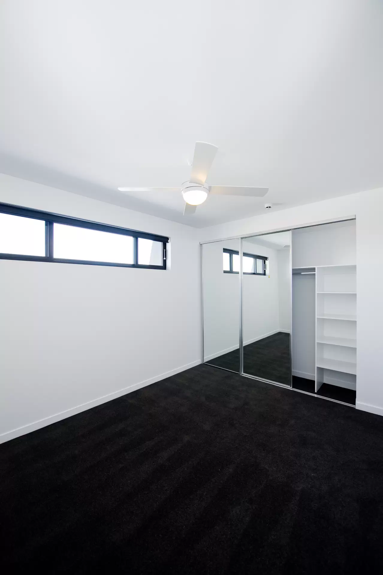 205/40 Donaldson Street, Greenslopes Leased by Mosaic Property Group - image 1