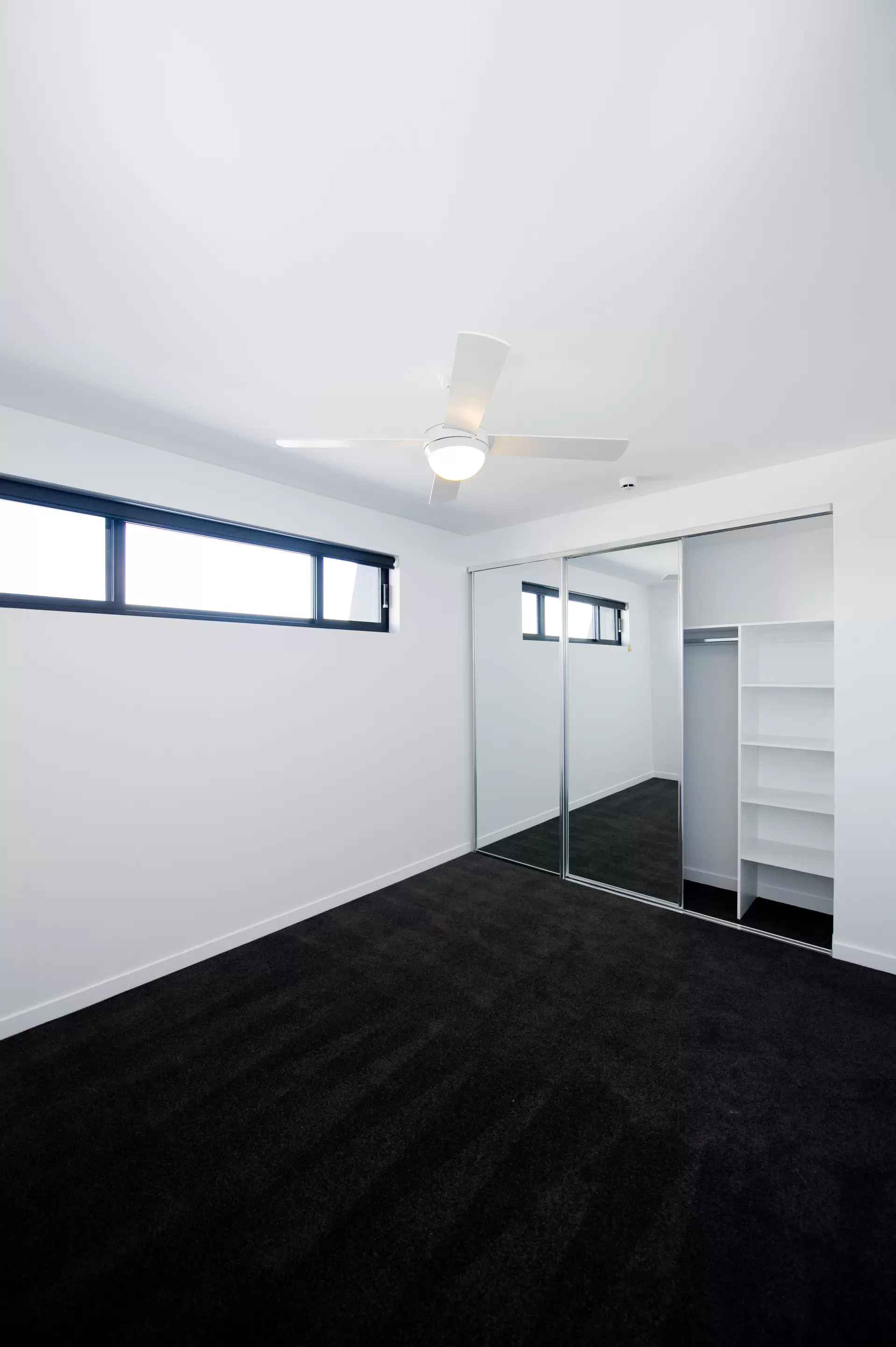 205/40 Donaldson Street, Greenslopes Leased by Mosaic Property Group - image 5