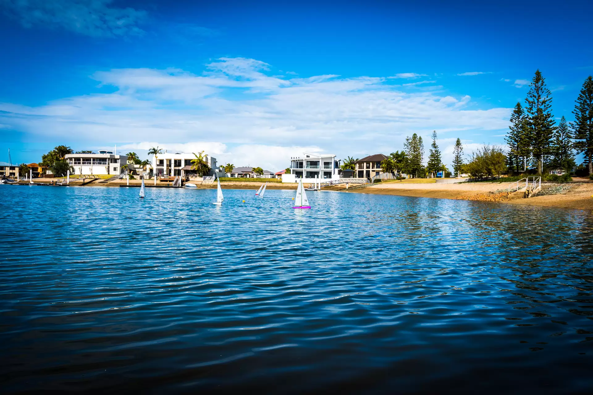 18 Tasmania Avenue, Newport Leased by Mosaic Property Group - image 1
